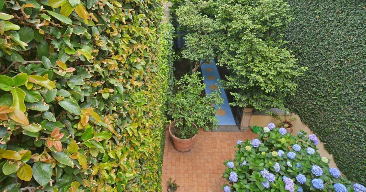 B&B Di Charme Camelie Palazzo Nicotra Рипосто Екстериор снимка
